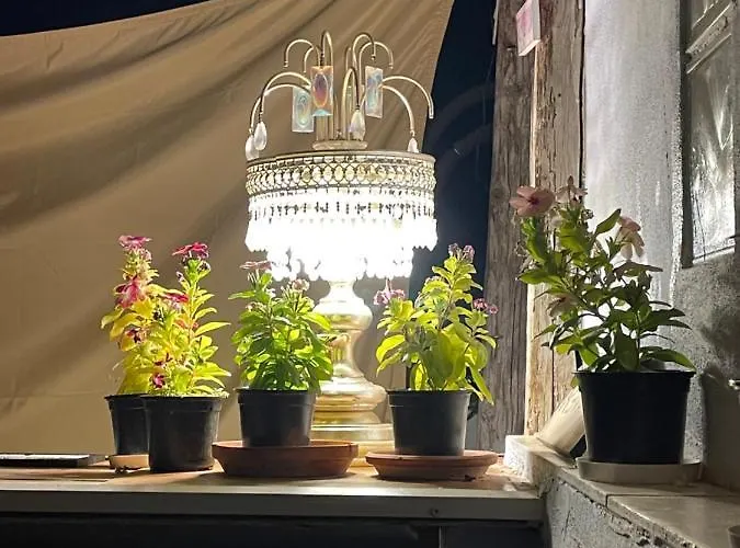 Casa Claddagh Гостевой дом Сакс